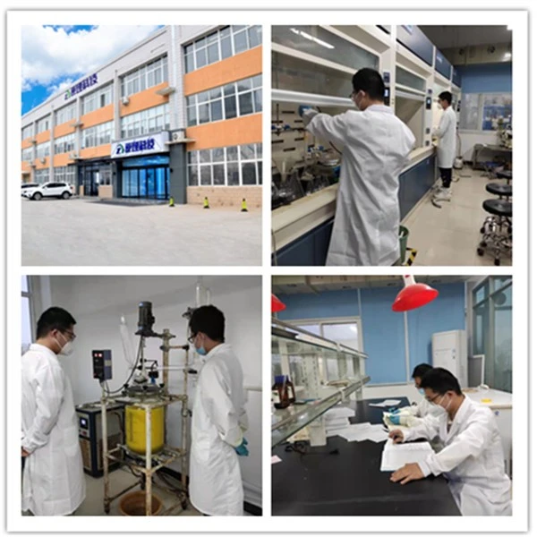 1,2-Dibromomethyl-1,2-dicarbacloso-dodecaborane,C4H4B10Br2,17786-09-3 suppliers