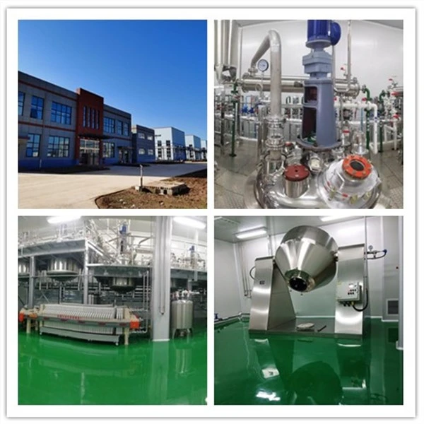 1,7-Dicarba-closo-dodecaborane-1-acetic Acid,C4H3B10O2,20644-65-9 best